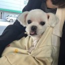 까까머리샵 이미지