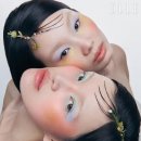 뷰티로그 네이버블로그
