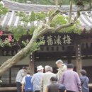 율수재(聿修齋) 이미지