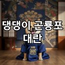 댕댕이를 부탁해 | 품절 대란템! 다이소 곤룡포, 우리 댕댕이도 왕세자 만들 수 있다구요?