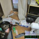 돼지우리 이미지