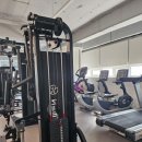 피트니스라이프더무브먼트랩 이미지
