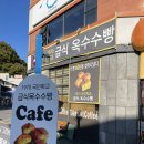 콘이코니 이미지