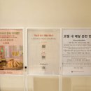 비고리조트 19 이미지