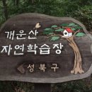 개운산 자연학습장 이미지