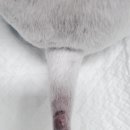 노은동물병원 이미지