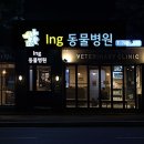 아이앤지동물병원 이미지