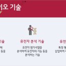 화이트환경주 이미지