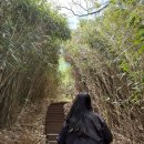 구조라항 공원 이미지