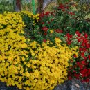 금암농장2 이미지