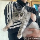 제주버스터미널 (동산교방면) | 3박4일 제주도 여행 1일차, 2일차 세모녀 일기