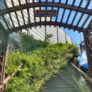 샘재로 1 이미지