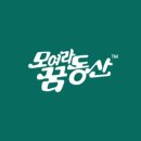 율금초교 이미지