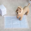 왈츠동물병원 | 반려동물 입양 전 준비물 완벽 가이드 🐶🐱 (강아지편)