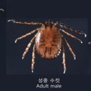 바글바글