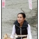 보성사 이미지