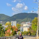 프리즘 | 러닝 선글라스 추천 오클리 라테랄리스 화이트 프리즘 스노우 사파이어 후기