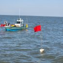 비안도수산 이미지