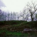 태고정(아래) 이미지