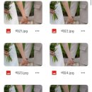 미르스튜디오 | 13. 야외 웨딩스냅 사설보정 플로미르 스튜디오 추천 후기 (내돈내산)