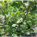 고고농장 이미지