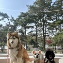 아더엘