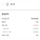 비셀리움