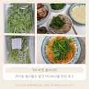 사나물농장 | YM 마켓 돌미나리 유기농 봄나물로 즐긴 미나리나물 반찬 후기