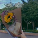 로지뷰티