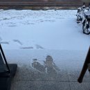 호야샤브 | [2026/2月] 2월 첫번째 일기 :: (26년 2월 2일 - 26년 2월 8일)