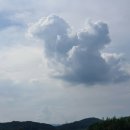 공룡직업소개소 네이버블로그
