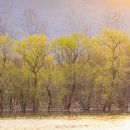 대흥조선 이미지