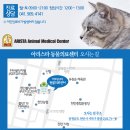 아리스타동물의료센터 이미지