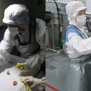 (주)푸드팩토리 이미지