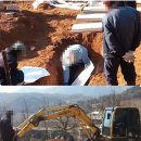 강원장의사 이미지