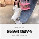 [울산 동물원] 송정 헬로우쥬, 데이트코스부터 아이와 함께 갈만한 곳까지 요즘 핫플