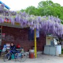 모퉁이집 이미지