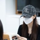 프리지아 이미지