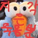 백수 휴학생 일상 무료 공개 ⁺