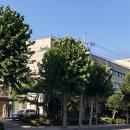 삼일제약 이미지