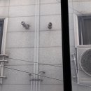 임의규-1 네이버블로그