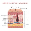 웰라스피부과의원 | 청담역피부과 리쥬란HB, 탄력과 수분 + 통증까지 잡을 수 있다?