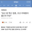 임산부 코로나 백신 &amp; 다른 백신: 개인적 견해
