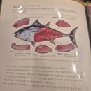 착한참치 | 대전 시청역 참치 맛집 '착한참치' 방문후기