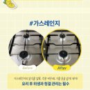 진크리너 이미지