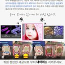 유모차카시트세탁크린아이 이미지