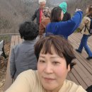 노아농장 이미지