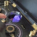 라디오닉스 이미지