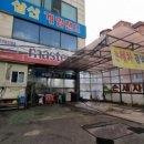 마스타손세차