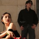아벨로헤어 이미지